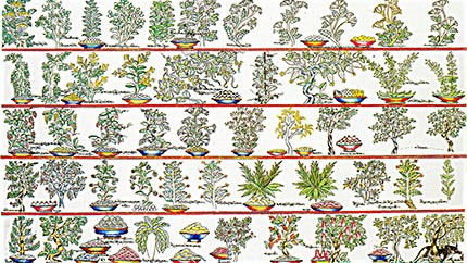 藏藥材資源分布、發(fā)展史